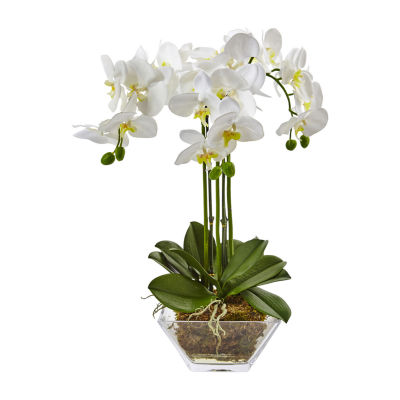 Nearly Natural Triple Phalaenopsis Orchid In Glass Vase Artificial Flowers