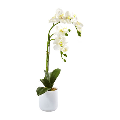 Nearly Natural Phalaenopsis In Frosted Glass Artificial Flowers