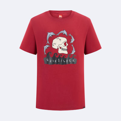 Quiksilver Big Kid Boys Crew Neck Short Sleeve Regular Fit Graphic T-Shirt