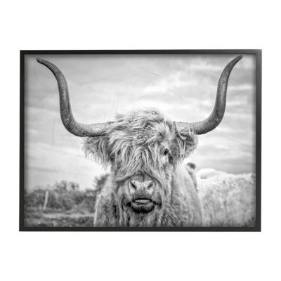24''X30'' Highland Cow Print