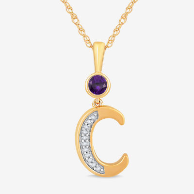 C Womens Genuine Purple Amethyst 14K Gold Over Silver Pendant Necklace