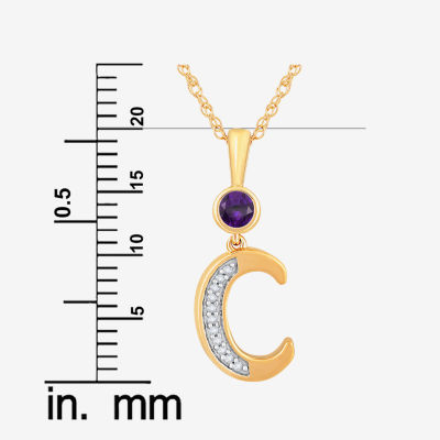 C Womens Genuine Purple Amethyst 14K Gold Over Silver Pendant Necklace