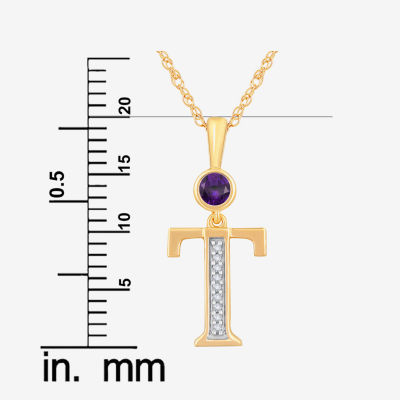 T Womens Genuine Purple Amethyst 14K Gold Over Silver 18 Inch Pendant Necklace