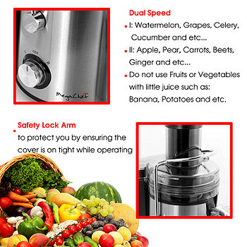 2 Speed Wide Mouth Fruit & Vegetable Centrifugal Electric Juicer