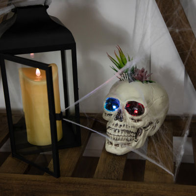 Northlight 8.75in Led Lighted Succulent Skull Lighted Halloween Tabletop Decor