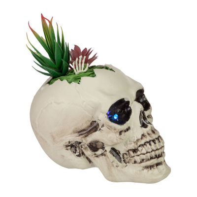 Northlight 8.75in Led Lighted Succulent Skull Lighted Halloween Tabletop Decor