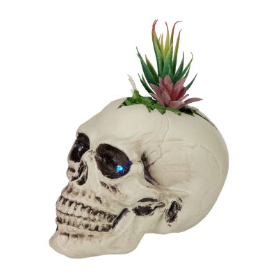 Northlight 8.75in Led Lighted Succulent Skull Lighted Halloween Tabletop Decor