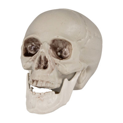 Northlight Skeleton Skulls 6-pc. Halloween Tabletop Decor