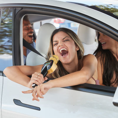 Singing Machine Karaoke Microphone