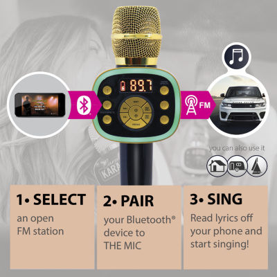 Singing Machine Karaoke Microphones