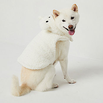 North Pole Trading Co. Polar Bear Chill Family Dog Pajama, Color