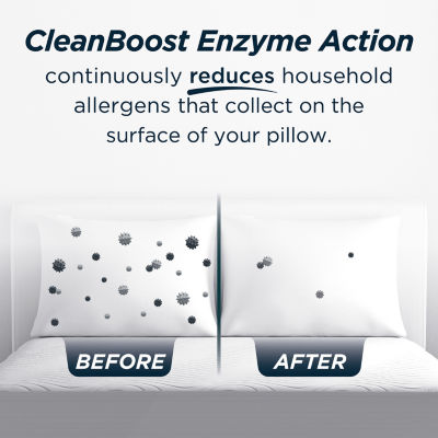 Allerease Cleanboost /Firm Support Pillow