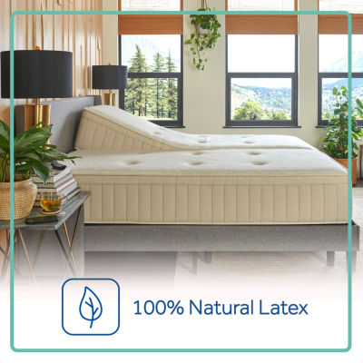 Sealy® Naturals Muir Firm - Mattress + Box Spring