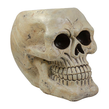 Northlight 11in Ivory And Black Halloween Skull Halloween Tabletop Decor, One Size, Beige