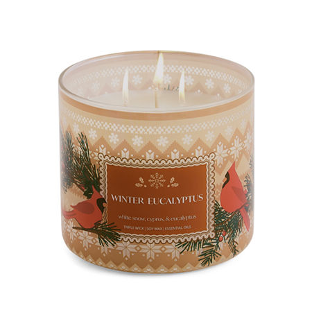 Distant Lands Winter Eucalyptus 3-wick Scented Jar Candle