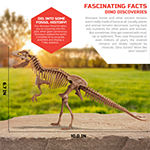 Discovery Mindblown Toy Dinosaur Excavation Kit Skeleton 3D Puzzle T-Rex 15pc