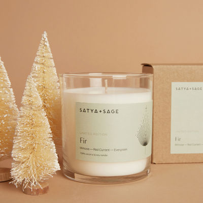 Satya + Sage Fir Candle (Mimosa, Red Currant, & Evergreen)
