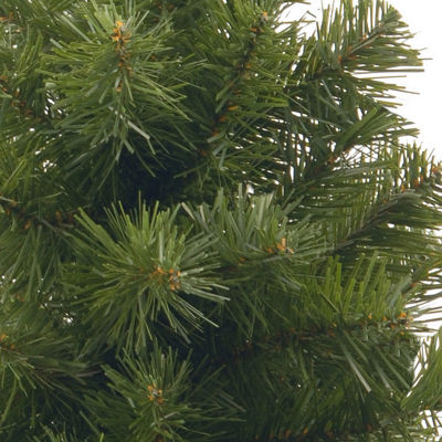 National Tree Co. Noble Spruce 2 Foot Spruce Christmas Tree