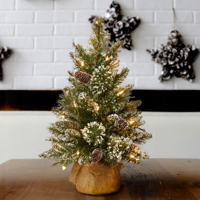 National Tree Co. Glittery Bristle Pine 2 Foot Pre-Lit Flocked Pine Christmas Tree