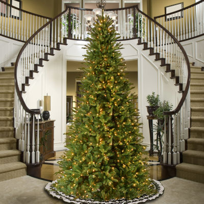 National Tree Co. Tiffany Fir Slim 12 Foot Pre-Lit Fir Christmas Tree