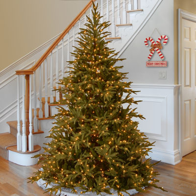 National Tree Co. Frasier Grande Hinged 9 Foot Pre-Lit Christmas Tree