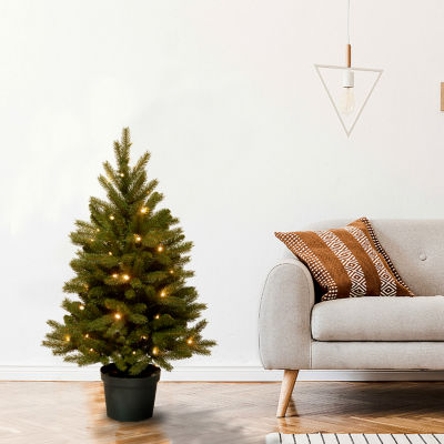 National Tree Co. Jersey Frasier Fir Entrance Potted 3 Foot Pre-Lit Fir Christmas Tree
