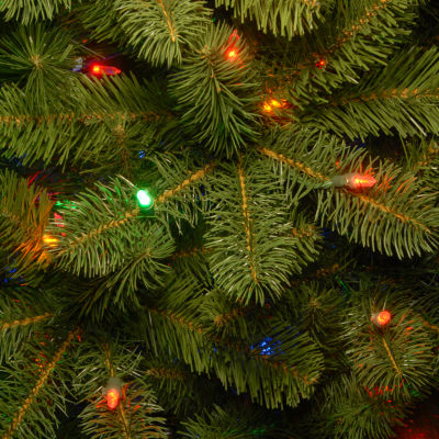 National Tree Co. Downswept Douglas Fir Hinged 1/2 Foot Pre-Lit Fir Christmas Tree