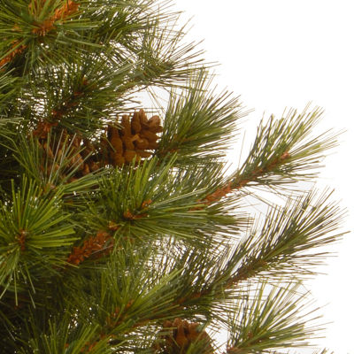 National Tree Co. Bristle Cone 3 Foot Christmas Tree
