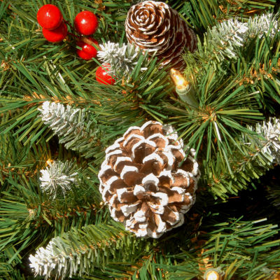 National Tree Co. Frosted Berry Wreath