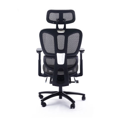 Sealy Hxley Ergonomic Design Adjustable Height Office Chair