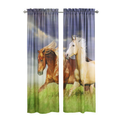 Photo Real Light-Filtering Rod Pocket Set of 2 Curtain Panel