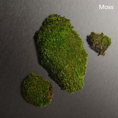 Calvin Klein Eternity For Men All Over Body Spray