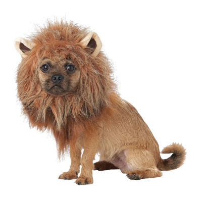 California Costumes King Of Jungle Dog Costume