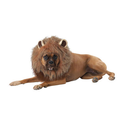 California Costumes King Of Jungle Dog Costume