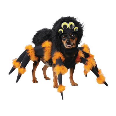 Spider Dog Pet Costumes