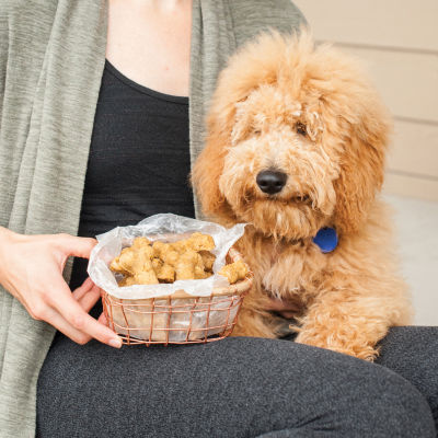 Nordicware Puppy Love Treat Pan and Dog Treat Mix Bakeware Set