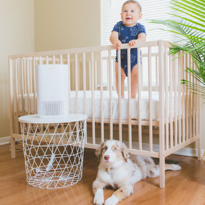 Crane True HEPA Air Purifier With Germicidal UV Light, 250 Sq Ft. Coverage, Standard