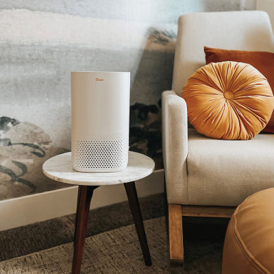 Crane True HEPA Air Purifier With Germicidal UV Light, 250 Sq Ft. Coverage, Standard