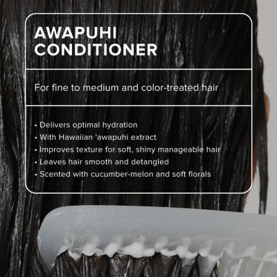 Paul Mitchell Awapuhi Conditioner - 10.1 oz.