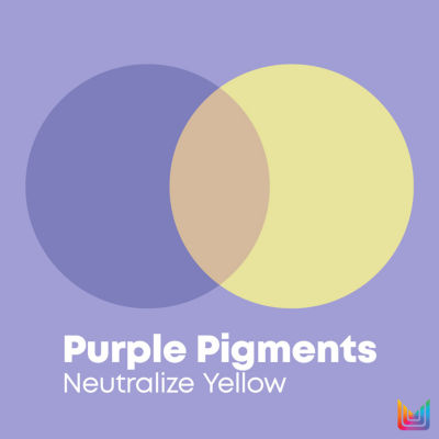 Matrix So Silver Shampoo 10.1 oz.