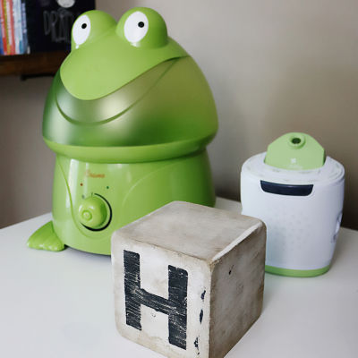 Crane  1 Gallon Ultrasonic Cool Mist Humidifier - Frog