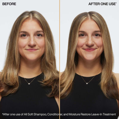 Redken Moisture Restore Leave In Hair Treatment 5.1 oz.