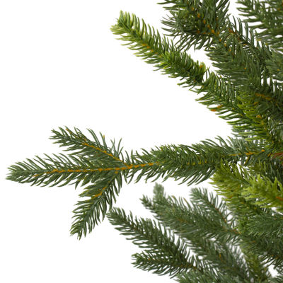 Northlight Potted Noble Pine Unlit 6 Foot Pine Christmas Tree