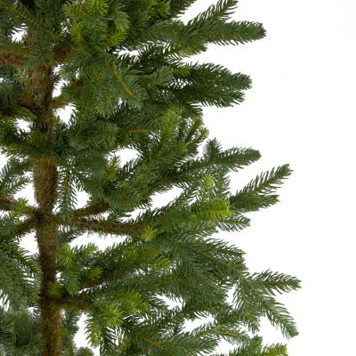 Northlight Potted Noble Pine Unlit 6 Foot Pine Christmas Tree