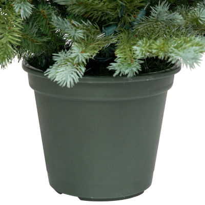 Northlight  Potted Clear Lights 4 Foot Pre-Lit Spruce Christmas Tree