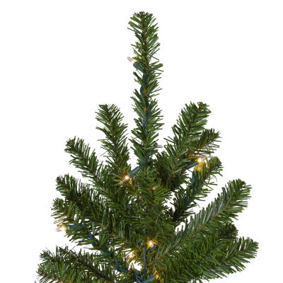 Northlight Pencil Canadian 7 1/2 Foot Pre-Lit Pine Christmas Tree