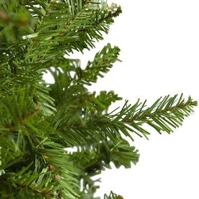 Northlight  Full Northern Unlit 10 Foot Pine Christmas Tree