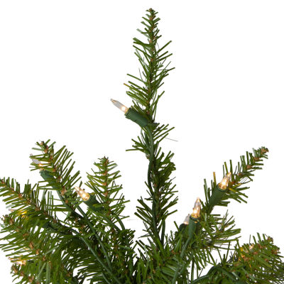 Northlight Full Northern 4 Foot Pre-Lit Pine Christmas Tree