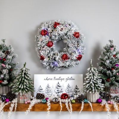 Northlight Snowy Bristle Pine Indoor Pre-Lit Christmas Wreath