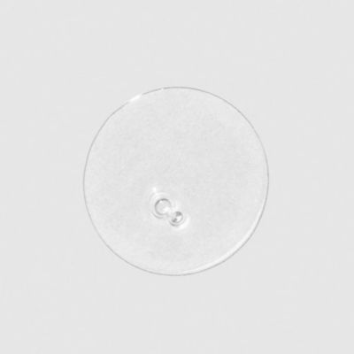 Awapuhi Wild Ginger Hair Oil 5.1 oz.